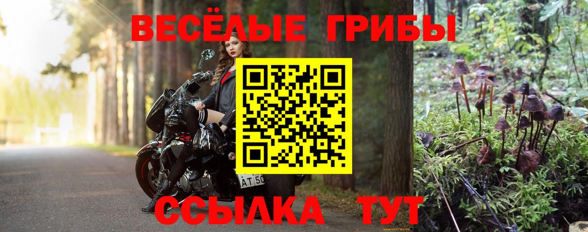 Псилоцибиновые грибы мухоморы  Галлюциногенные грибы мухоморы  Вход с VPN  Симферополь 